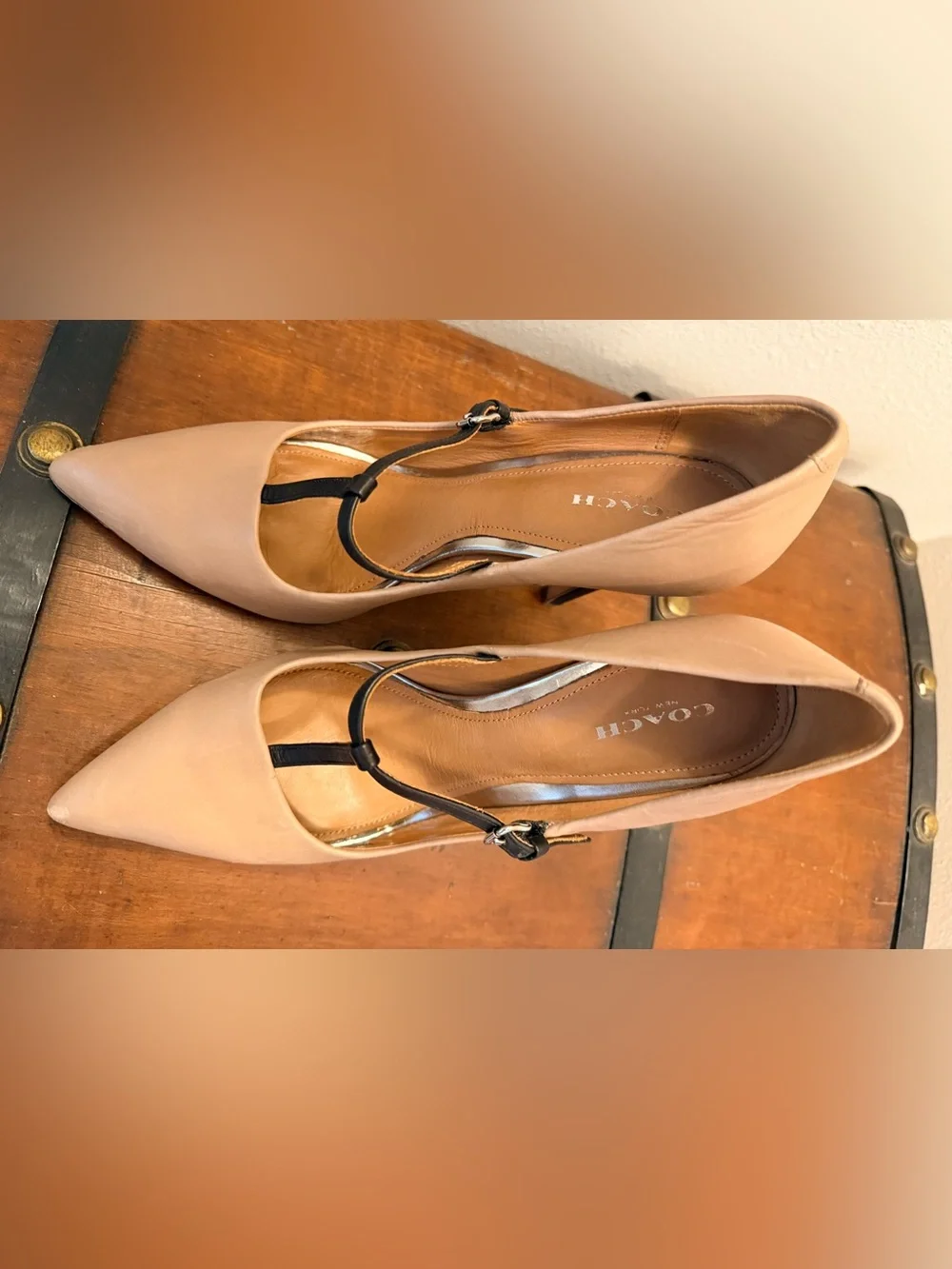 Coach Nude Pointed-Toe T-Strap Pumps with Black Straps